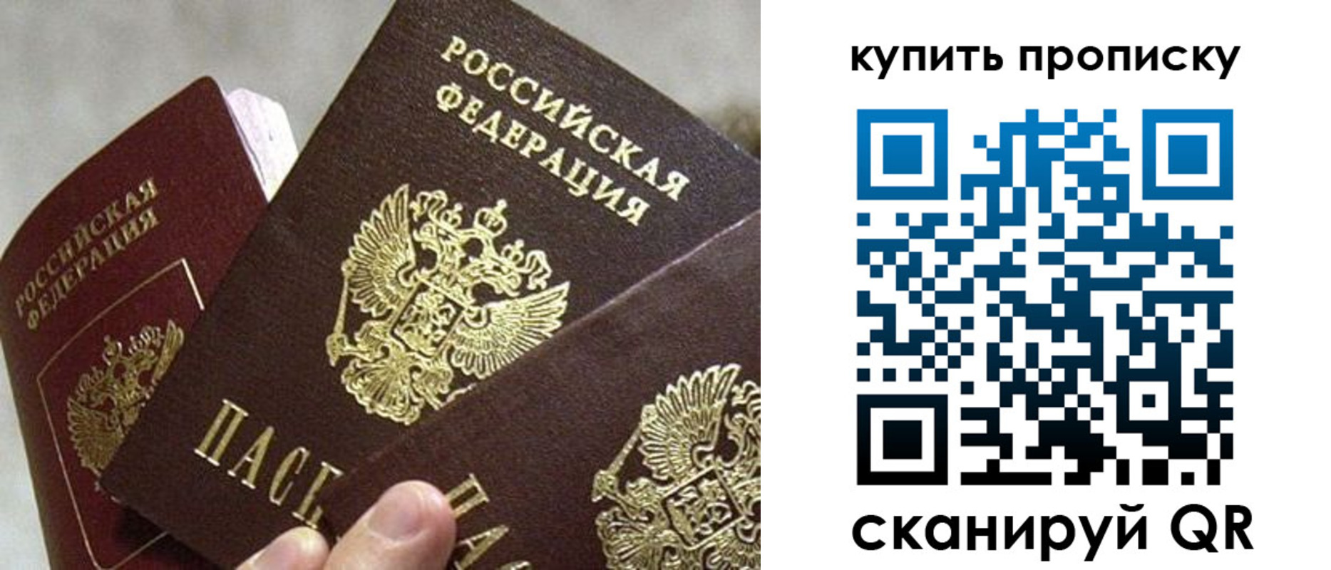 прописка для школы в Курске